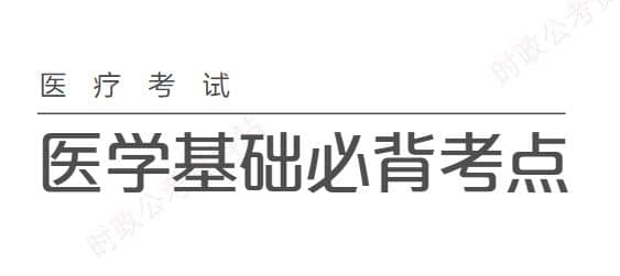 2024军队文职备考全套资料