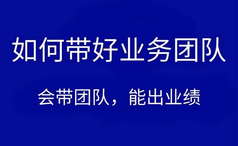 团队业绩提升16讲：带好业务团队的关键技巧