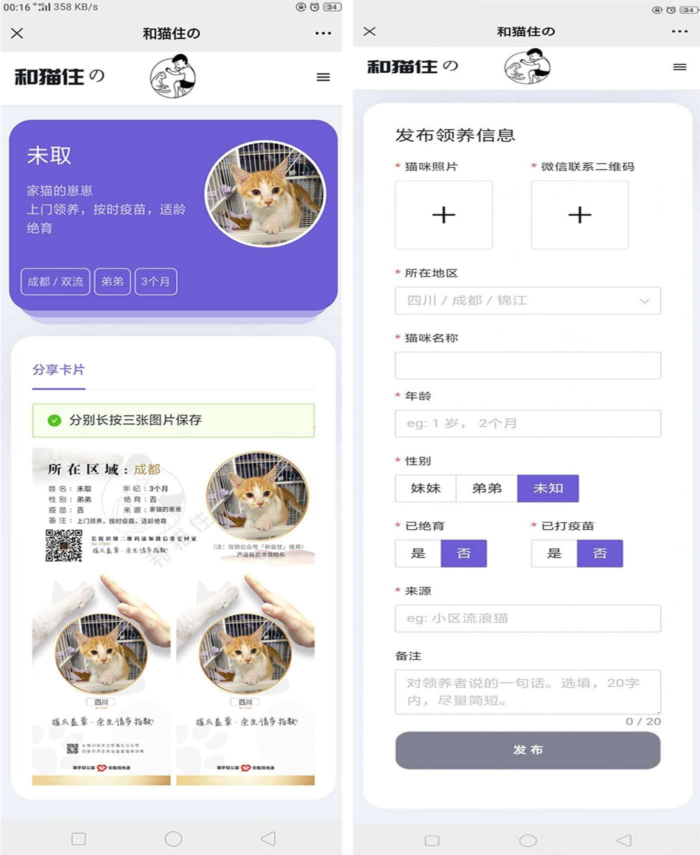 宠物领养信息发布源码（猫狗适用）插图1