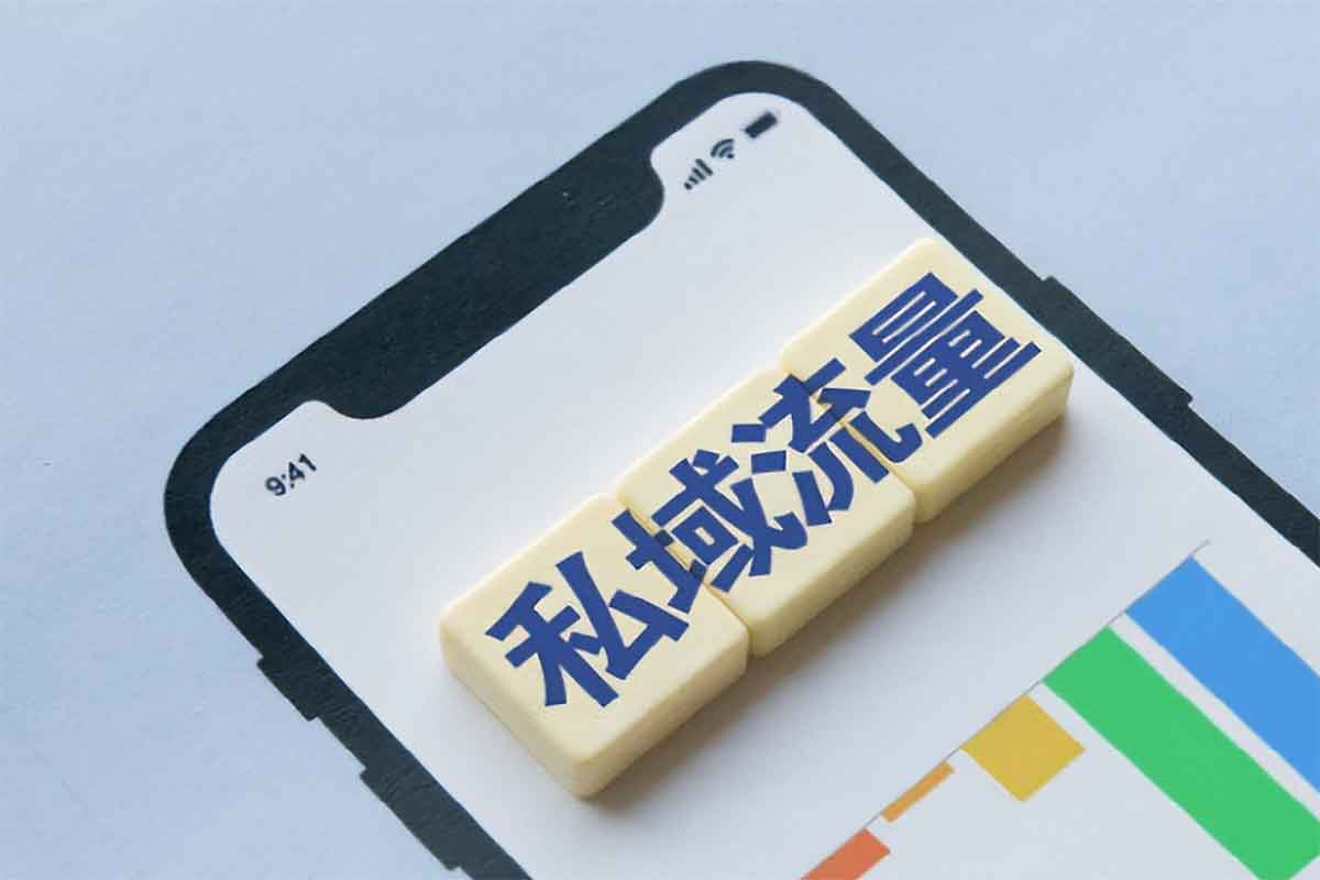 私域运营实战入门：从0到1构建流量池​
