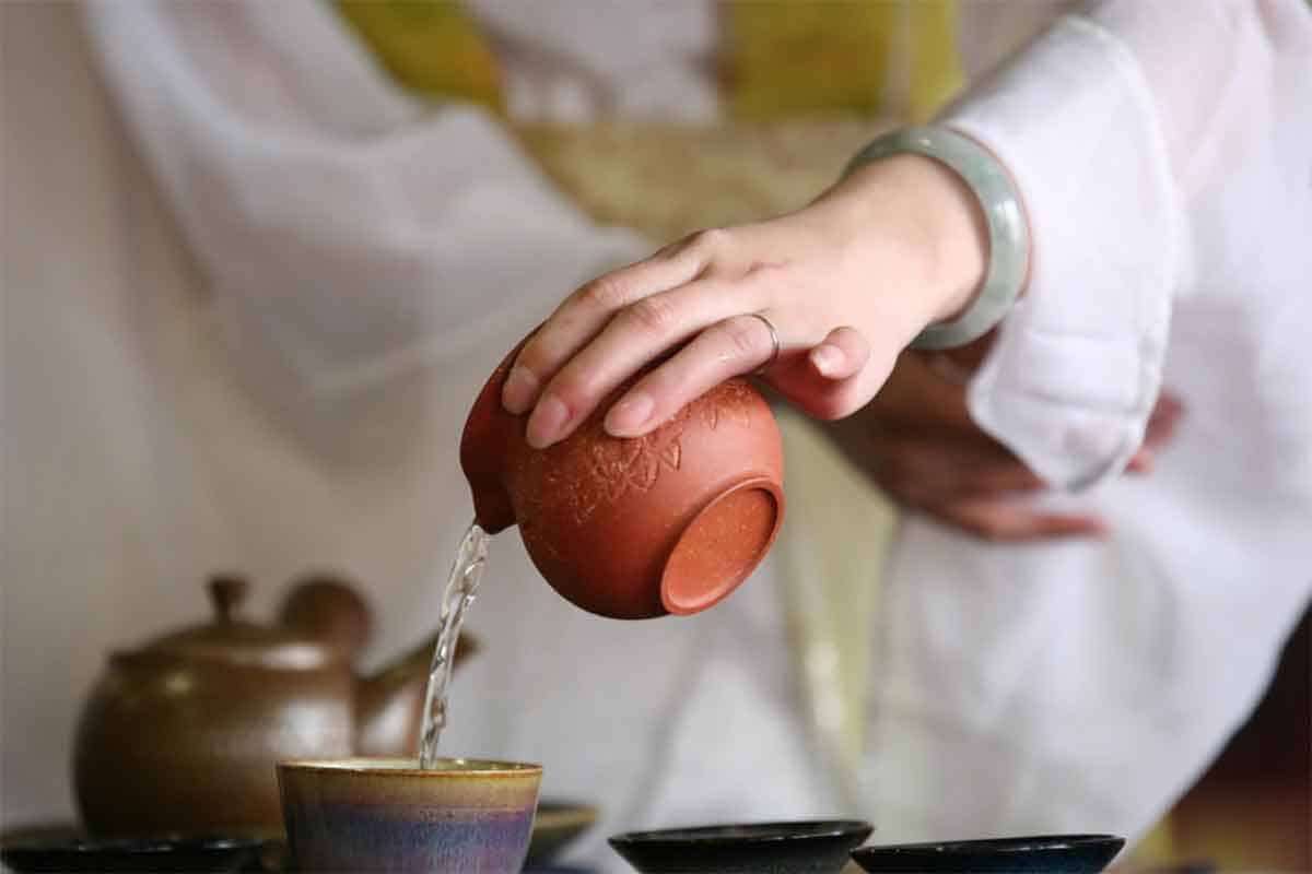 茶艺系统学习指南：从入门到专业精进​