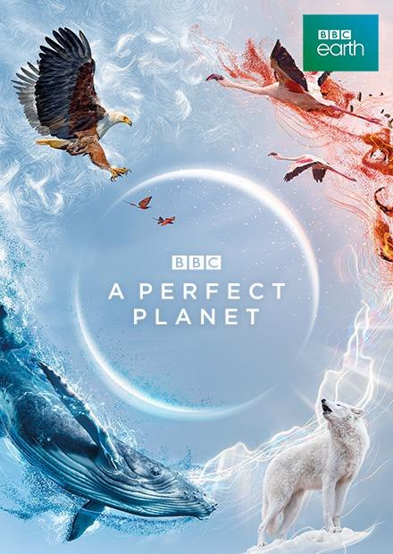 A Perfect Planet: A Documentary on Natural Wonders</trp-post-container