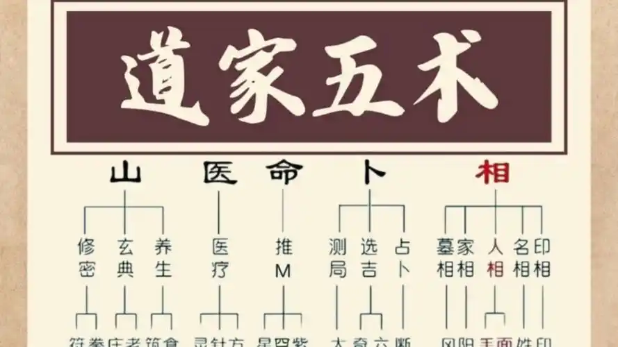 玄门道家五术合集：传统文化精髓 | 瘦巴巴资源