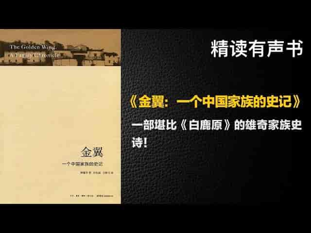 金翼听书解读：家族史诗魅力