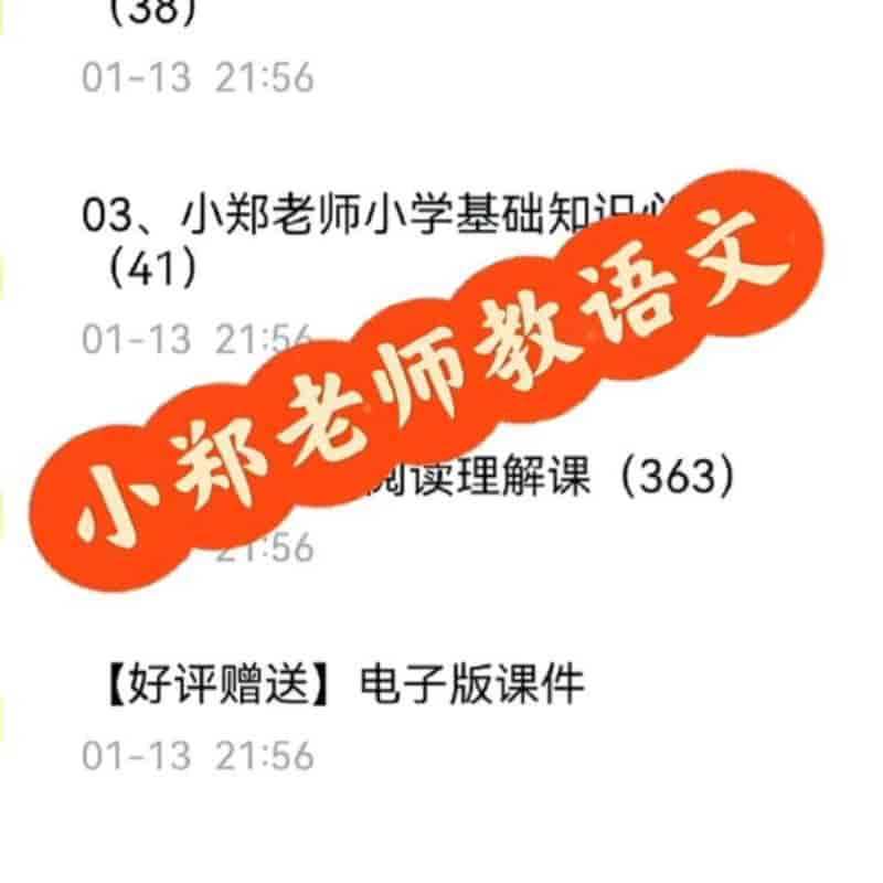 文老师小学语文课程合集 (基础知识+阅读理解+作文)